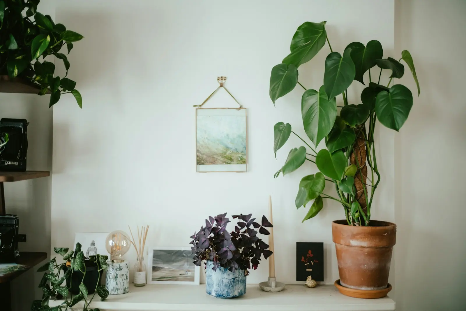 白い壁の棚に、モンステラの鉢植えやリードディフューザー、小さな額や写真が並ぶ、明るくナチュラルな自宅サロンのしつらえ