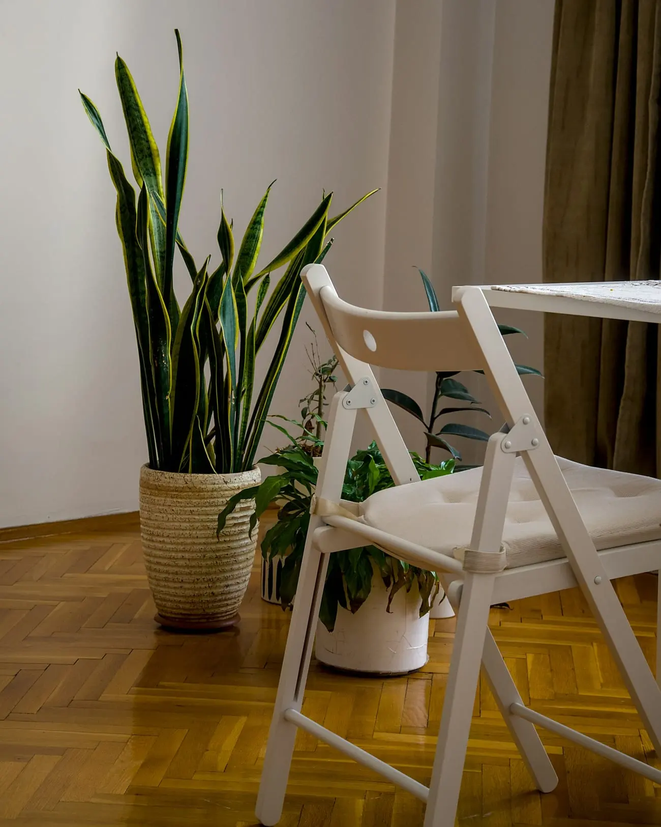 植物のある部屋に置かれた白い折りたたみチェア