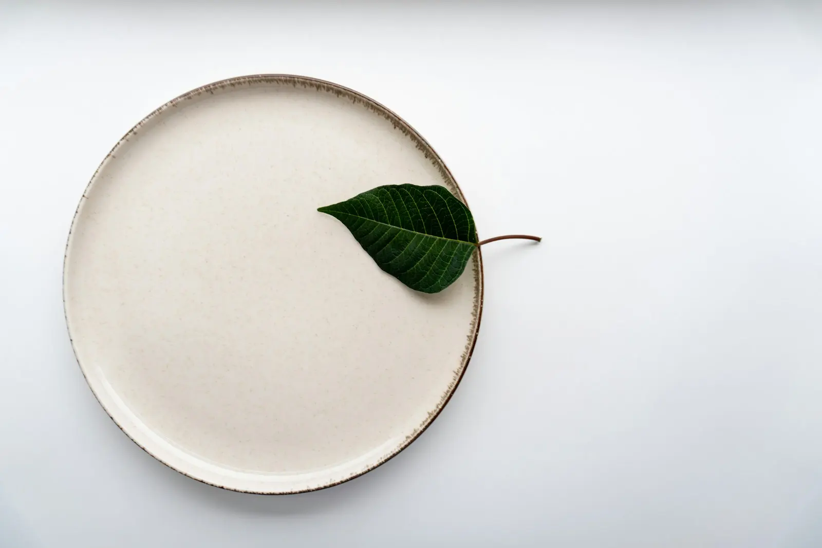 白い背景に置かれた縁が茶色の陶器皿に、緑の葉を一枚だけあしらったミニマルな一皿